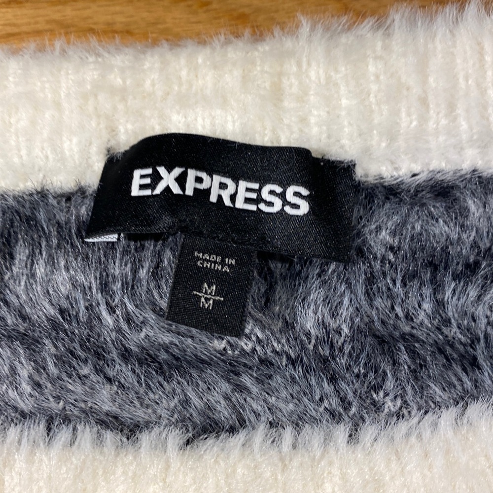 Express zebra print sweater